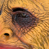 Horror Pumpkin Latex Mask Full Head Masks for Party Halloween