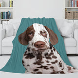 Animal Dog Cosplay Flannel Blanket Room Decoration Throw
