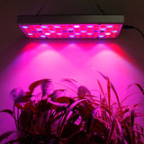 LED Grow Light 25W 45W AC85-265V Full Spectrum Plant Lighting Fitolampy For Plants Flowers Seedling Cultivation