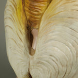 Panopea abrupta Cosplay Latex Helmet Halloween Props