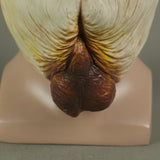 Panopea abrupta Cosplay Latex Helmet Halloween Props