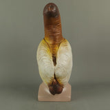 Panopea abrupta Cosplay Latex Helmet Halloween Props