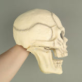 Skull Skeleton Cosplay Natural Latex Helmet Horrible Halloween Props