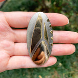 Star Trek Discovery Season 3 Cosplay Badge Halloween Props