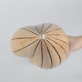 Stargirl Courthey Whitmore Cosplay PVC Weapons Wand Superhero Halloween Props