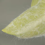 The Mandalorian Baby Yoda Cosplay Helmet Glove Star Wars Grogu Halloween Props