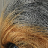 Star Wars The Force Awakens Chewbacca Chewie Latex Cosplay Helmet Halloween Party  Prop