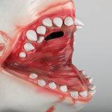 Latex Animal Mask Carnival Costume Accessory Novelty Halloween Party Head Mask Shark Fancy Dress Party Ocean Fish Cosplay Mask - bfjcosplayer